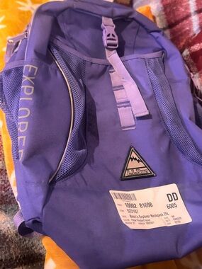 LL Bean's Explorer Backpack, 25L